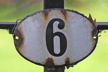 The number six